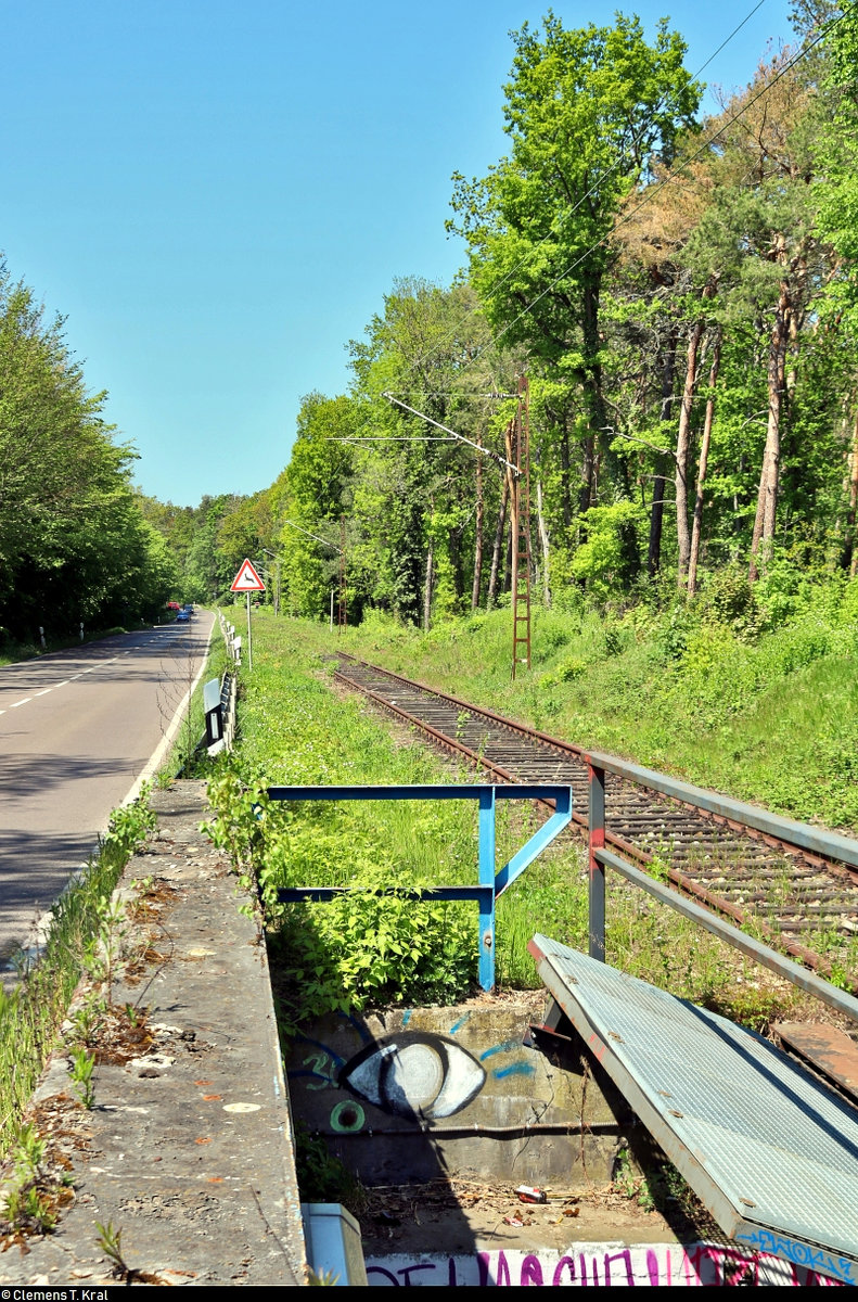 Es war einmal: S-Bahn-Strecke zwischen Halle-Nietleben und -Dölau.

Blick von der Eisenbahnüberführung (EÜ) an der Heidestraße in Halle-Nietleben auf die Bahnstrecke Halle Klaustor–Hettstedt (6800), auch als Halle-Hettstedter Eisenbahn (HHE) bekannt.
Bis zum 31.7.2002 fuhr hier noch die heutige S7 von bzw. nach Halle-Trotha. Seit mehreren Jahren gibt es Diskussionen zur Reaktivierung des Teilstücks zum Dölauer Heidebahnhof, an denen sich auch die Freunde der Halle-Hettstedter-Eisenbahn e.V. rege beteiligen. Auch der Umbau zum Radweg steht im Raum.
[7.5.2020 | 13:14 Uhr]