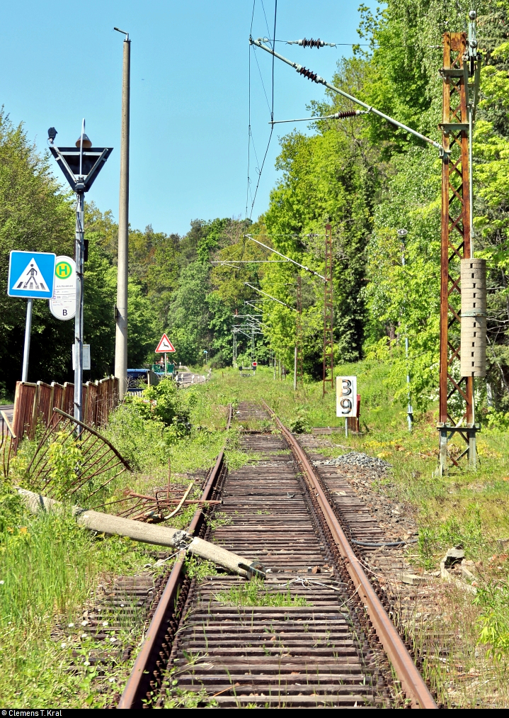 Es war einmal: S-Bahn-Strecke zwischen Halle-Nietleben und -Dölau.

Blick vom ehemaligen Bahnübergang an der Heidestraße in Halle-Nietleben auf die Bahnstrecke Halle Klaustor–Hettstedt (6800), auch als Halle-Hettstedter Eisenbahn (HHE) bekannt. Interessanterweise ist erst einige Hundert Meter weiter ein Prellbock auf den Gleisen installiert worden, wie man im Hintergrund erkennen kann.
Bis zum 31.7.2002 fuhr hier noch die heutige S7 von bzw. nach Halle-Trotha. Seit mehreren Jahren gibt es Diskussionen zur Reaktivierung des Teilstücks zum Dölauer Heidebahnhof, an denen sich auch die Freunde der Halle-Hettstedter-Eisenbahn e.V. rege beteiligen. Auch der Umbau zum Radweg steht im Raum.
[7.5.2020 | 13:22 Uhr]