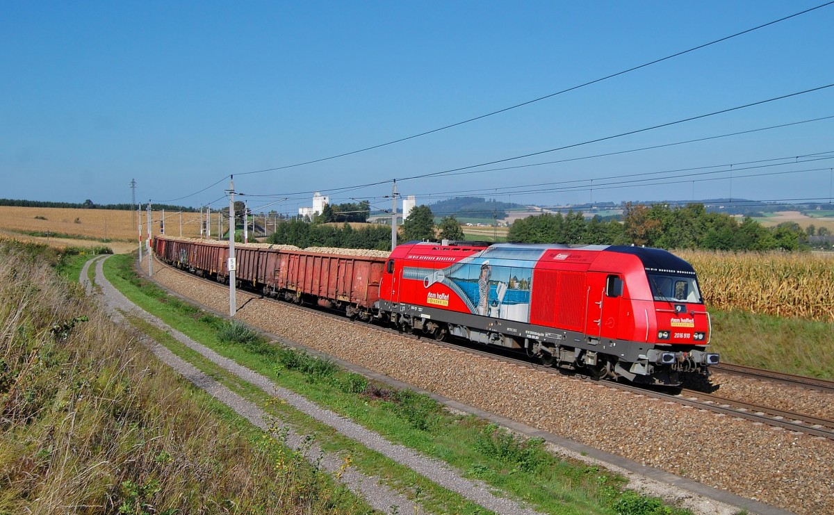 Es ist wieder R�benzeit. Aus diesem Anlass
Ist am 28.09.2013 die 2016 910 mit einem R�benzug in
Katzbach durchgefahren.