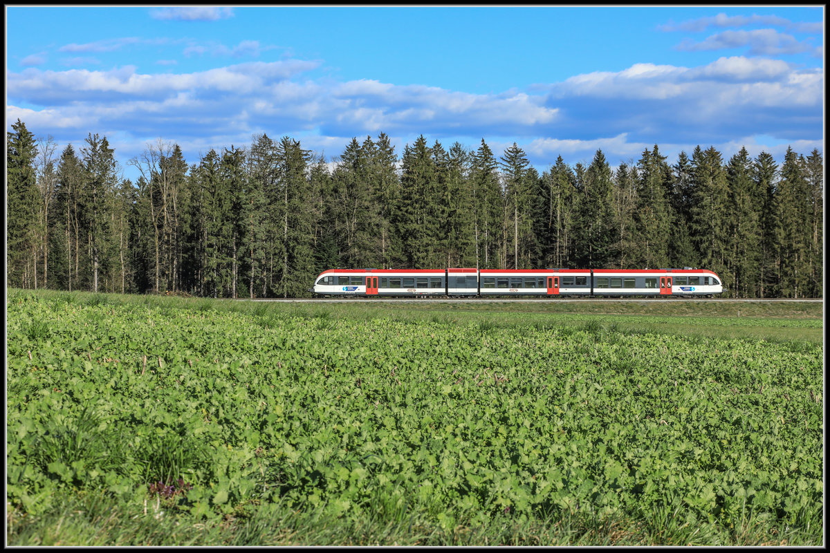 Es wird Bunt im Land ! 
Und das gefällt mir ! 

Der Nachmittag des 26.03.2019 
