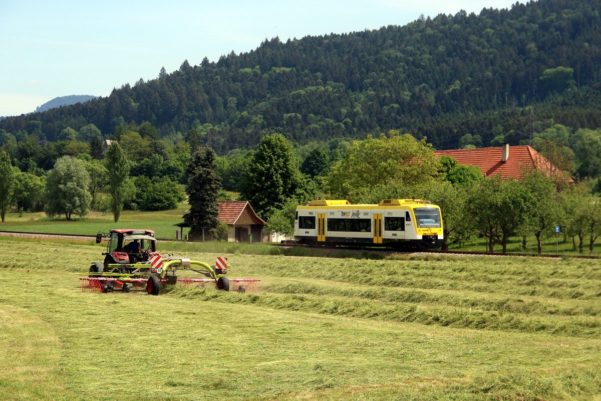 Es wird im Harmersbachtal gearbeitet

Ein Traktor wendet das gemmähte Gras auf einer Wiese, während VT 516 als SWE 72220 vorbeifährt (08.05.0220) 