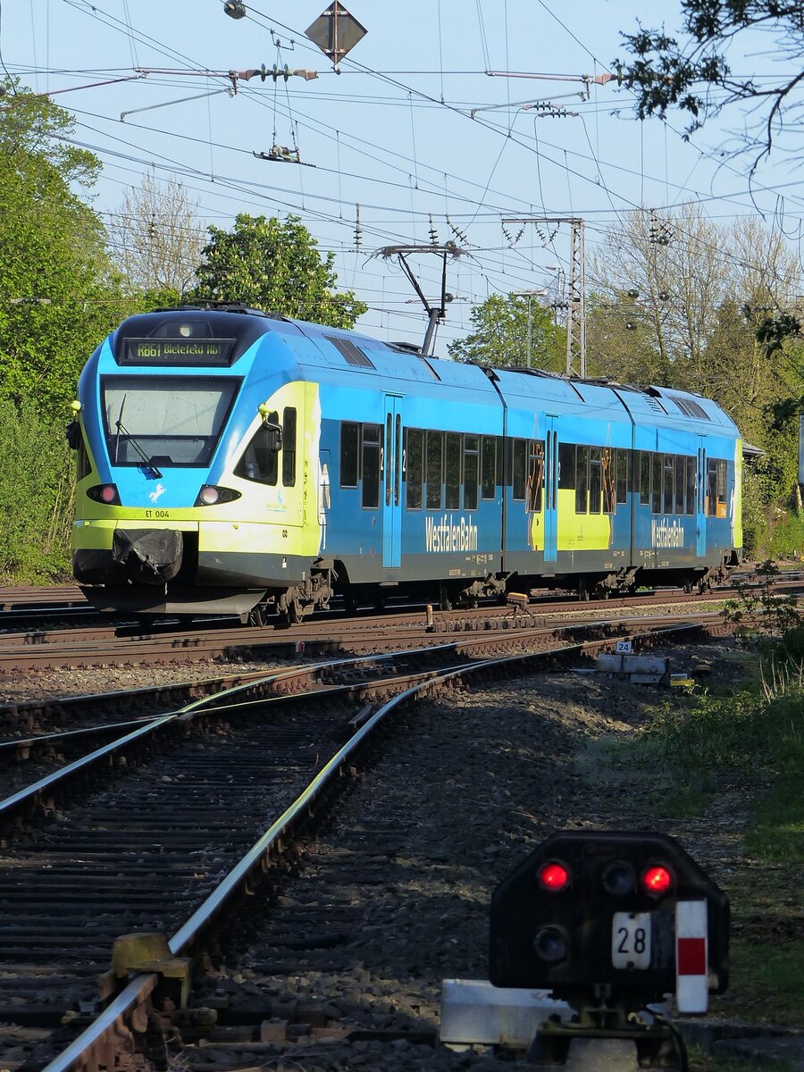 ET 004 der WFB als RB61 auf dem Weg nach Bielefeld in Salzbergen, 06.05.16 
Aufgenommen von der Dr.-Josef-Stockmann-Strasse aus...(nicht im Gleis)