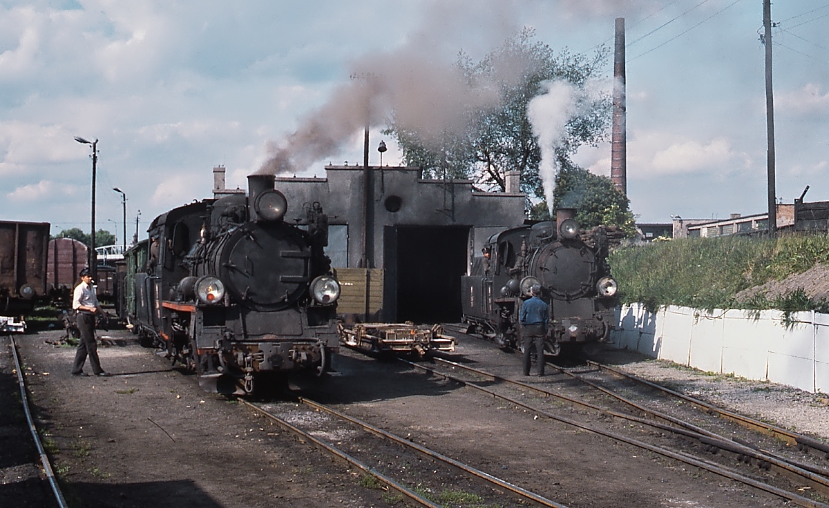 Etwa eineinhalb Jahre nach der vorherigen Aufnahme, im Juni 1990, stehen wiederum zwei Px48 vor dem Lokschuppen in Gniezno/Gnesen. Die Loknummern sind leider nicht mehr erkennbar, eventuell sind es dieselben Lokomotiven wie im Jahr zuvor, die unterschiedlichen Rauchkammerverschlüsse der beiden Maschinen deuten jedenfalls darauf hin.