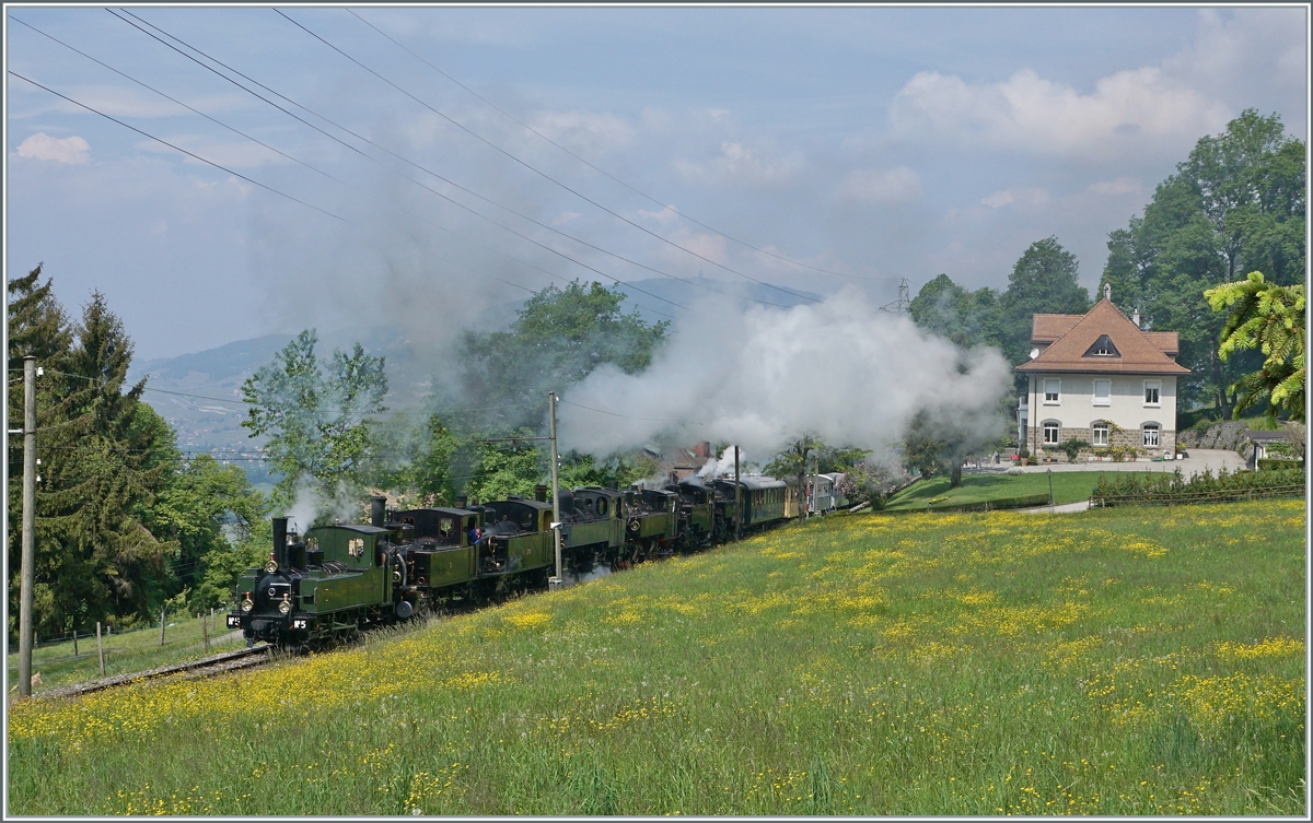 Etwas mehr als eine Lok: Zu diesem Thema geradezu den Vogel abgeschossen haben dürfte wohl die Blonay-Chamby Bahn, welche zu ihrem 50 Betriebsjubiläum einen Dampfzug mit sieben arbeitenden Dampfloks von Blonay nach Chamby verkehren lies: G 3/3 N° 5, ex LEB (1890), G 3/3 N° 6 ex BAM (1901), G 3/4 208, ex SBB CFF (1913), G 2x 2/2 E164 ex CP (1905), G 2x 2/2 105, ex SEG (1918), HG 3/4 4, ex FO (1913) und die HG 3/4 3 ex BFD (1913).

19. Mai 2018