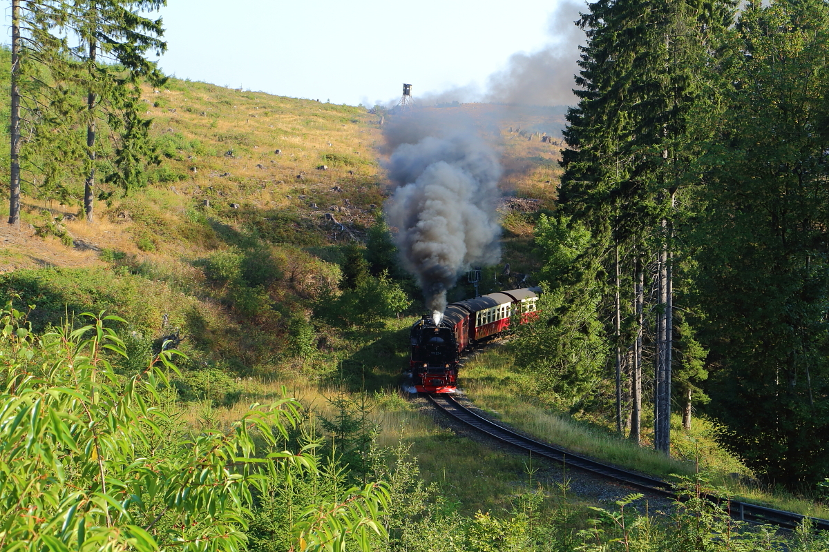 Etwas unterhalb des Gasthofes  Drei Annen  war dann der nächste Fotostandort. Wir waren gerade rechtzeitig vor Ort, um 99 234 mit P8931 (Wernigerode-Brocken) um die Kurve schnaufen zu sehen. (Aufnahme vom 31.08.2019) (Bild 1)