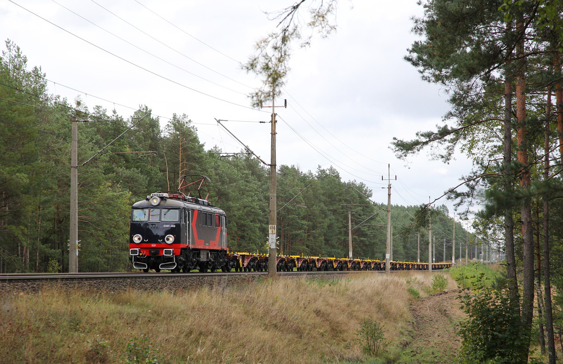 EU07-009 (soll für Lotos Kolej im Einsatz sein) // Rzepin // 3. Oktober 2018
Überführung neuer Containertragwagen.