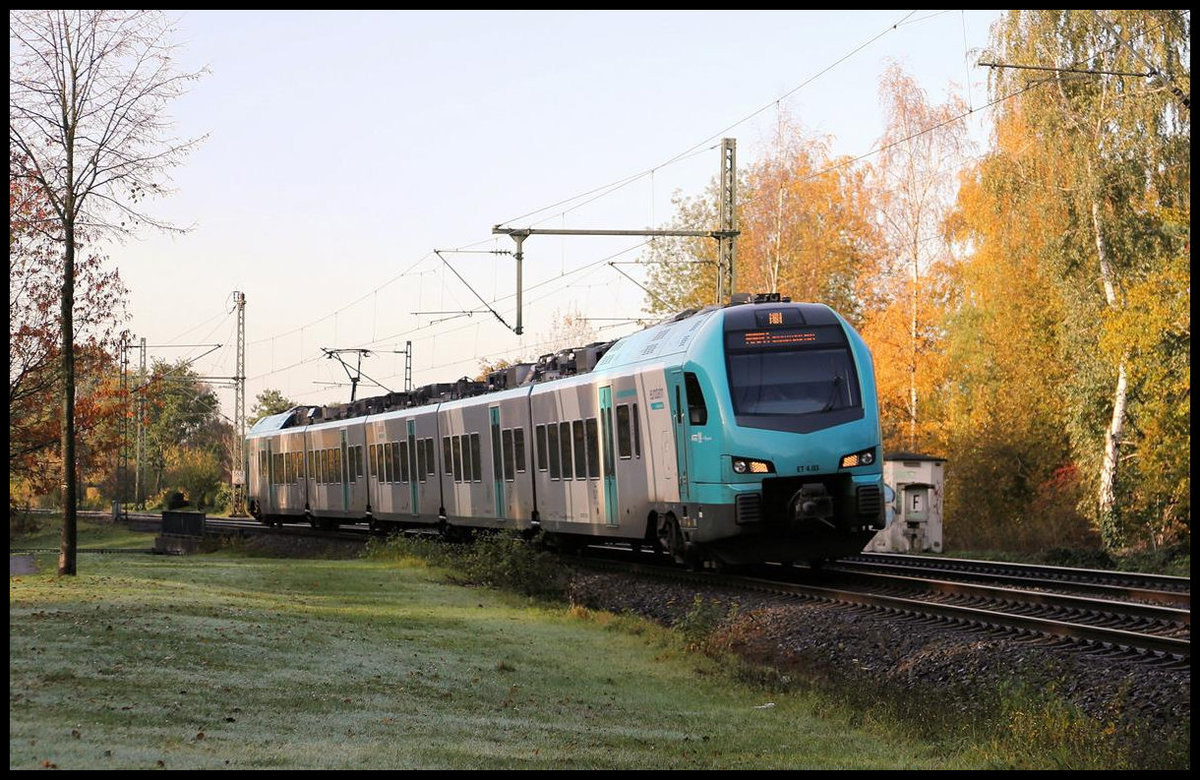 Eurobahn ET 4.03 erreicht hier am 8.11.2019 um 10.20 Uhr auf der Fahrt nach Bielefeld den Haltepunkt Hörstel.