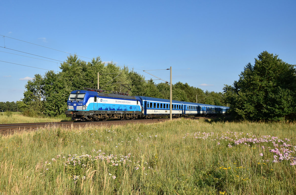 Eurocity mit der Vectron 193 294-6 in Front, kommend aus Richtung Schwerin. 3km östlich von Büchen, 23.07.2018