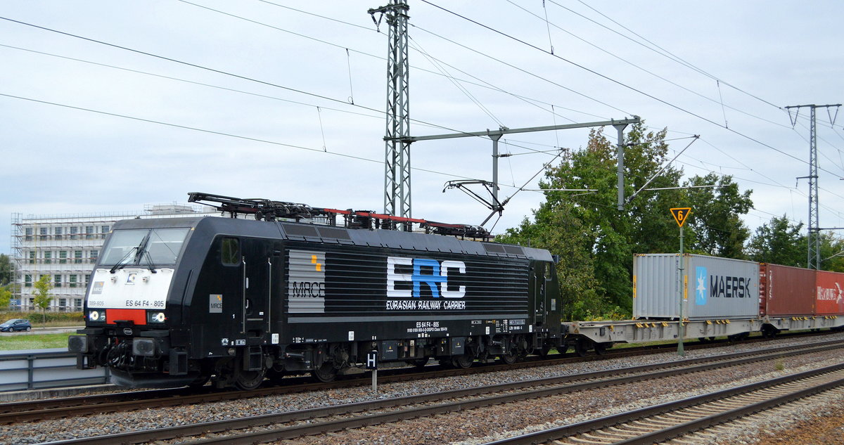 European Railway Carrier sp. z o.o., Wrocław [PL] mit der MRCE Dispo  ES 64 F4-805  [NVR-Nummer: 91 80 6189 805-5 D-DISPO] und Containerzug am 08.09.20 Bf. Golm (Potsdam).