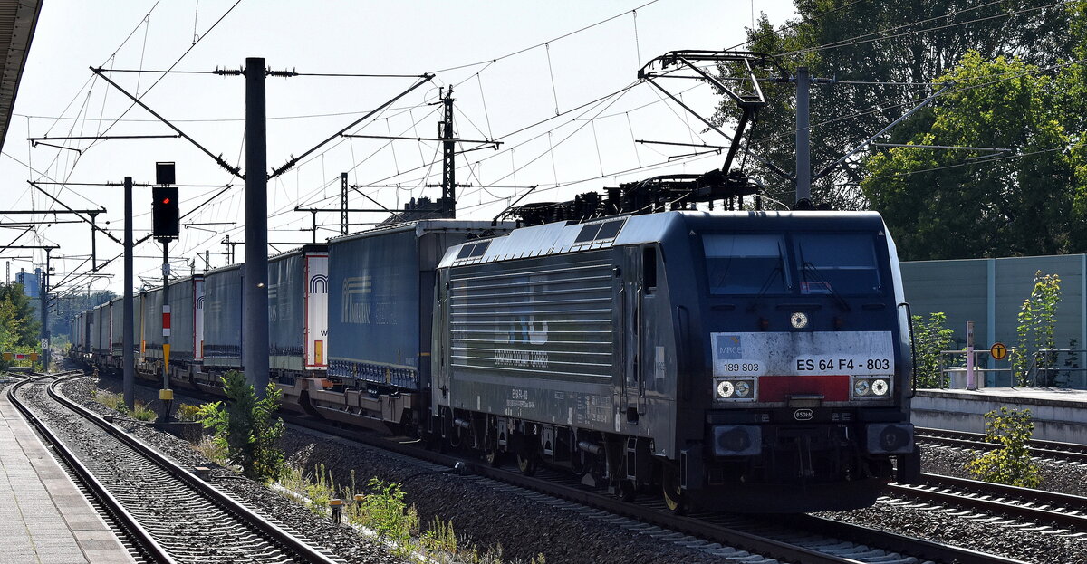 European Railway Carrier sp. z o.o., Wrocław [PL] mit der MRCE Dispo  ES 64 F4-803  [NVR-Nummer: 91 80 6189 803-0 D-DISPO] und einem KLV-Zug Richtung Polen am 08.09.23 Höhe Bahnhof Luckenwalde.