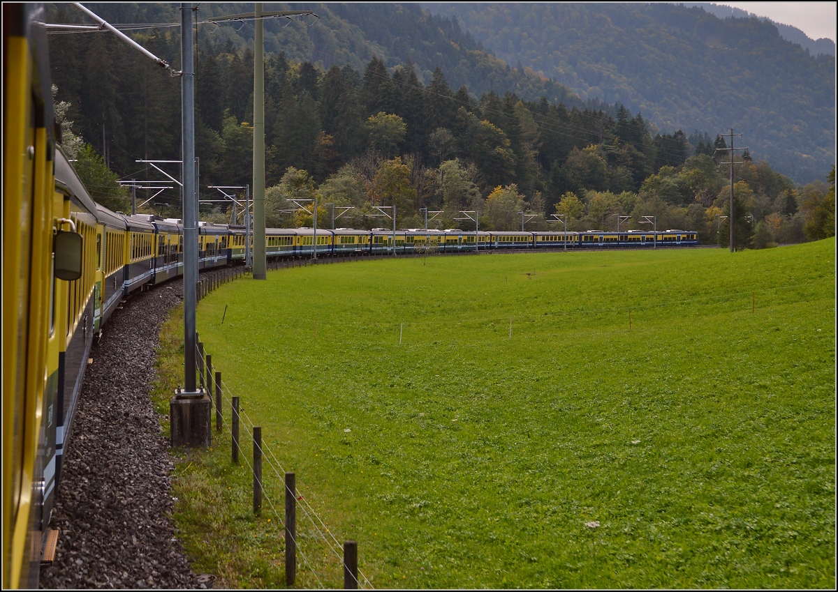 Extralanger Schmalspurzug im Berner Oberland. Zweilütschinen, September 2015.