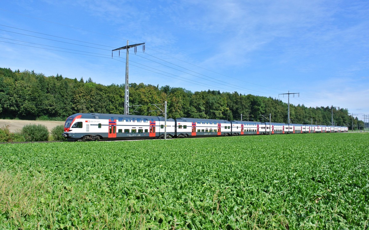 Extrazug an eine Demonstration in Bern: Extrazug Basel-Bern bestehend aus dem 6-teiligen RABe 511 026 und dem 4-teiligen RABe 511 108 zwischen Lyssach und Hindelbank, 21.09.2013.