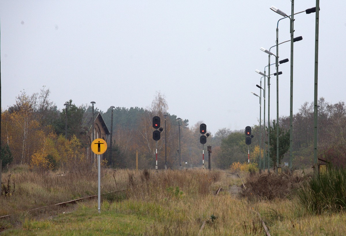 Fahren hier noch Züge ? Ja hier fahren noch Züge, zumindest bis zum Fahrplanwechsel
gibt es noch ÖPNV auf der Strecke Bad Schmiedeberg Kurzentrum - Lutherstadt Wittenberg.Hinweisen möchte der Fotograf auch auf die Züge , die auf der Heidebahnstrecke zum Leipziger Weihnachtsmarkt von Lutherstadt Wittenberg via Pretzsch-Bad Schmiedeberg-Bad Düben Eilenburg verkehren (06. und 07.12.2014) .Blick auf die LS der Ausfahrgleise Richtung Wittenberg im Bahnhof Pretzsch. 15.11.2014  11:43 Uhr.