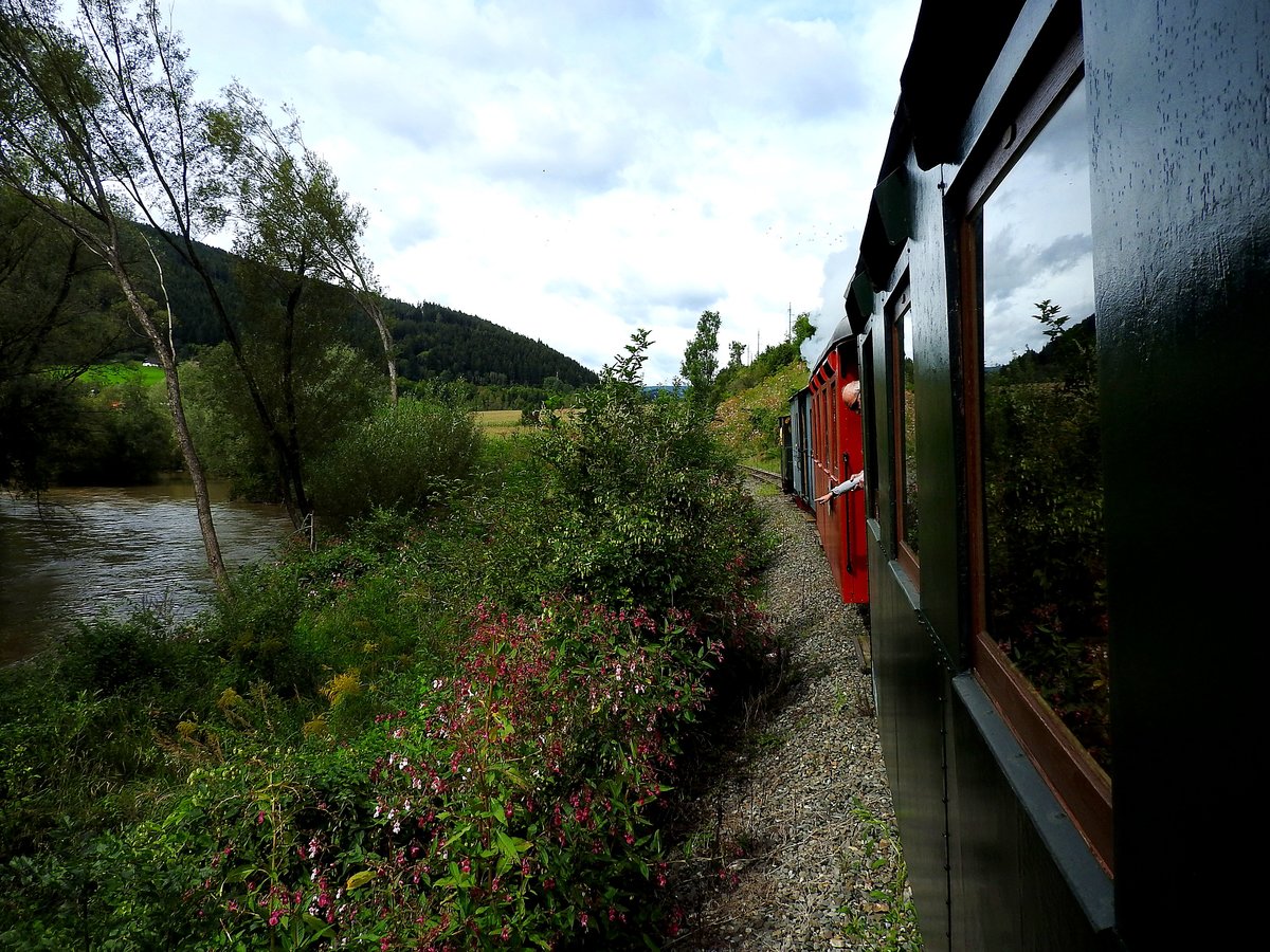 Fahrt mit der GTB, entlang der Gurk durch die blühende Botanik (GT62); 170903