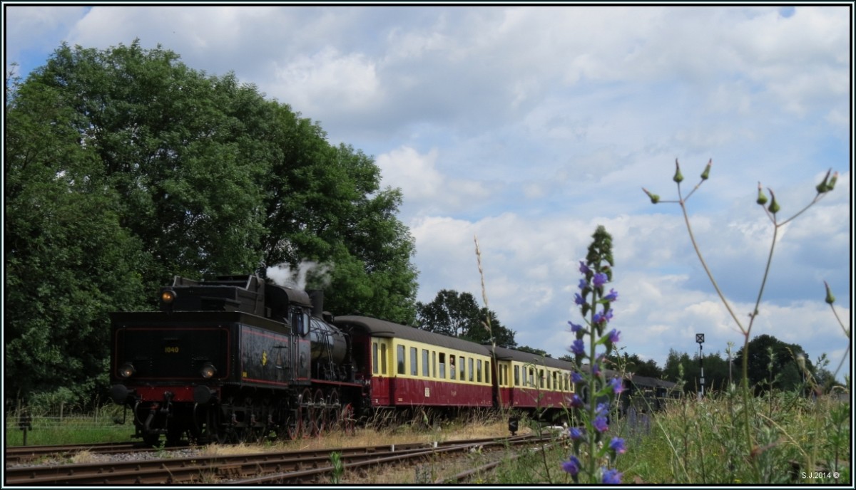 Farbenspiele am Wegesrand unweit vom Bahndepot der ZLSM in Simpelveld am 22.Juni 2014.Während die Naturfarben ein willkommenes Konstrastmotiv ergeben,fährt die SJ 1040 mit Tender voraus mit den Sonderzug am Bahnhof ein.