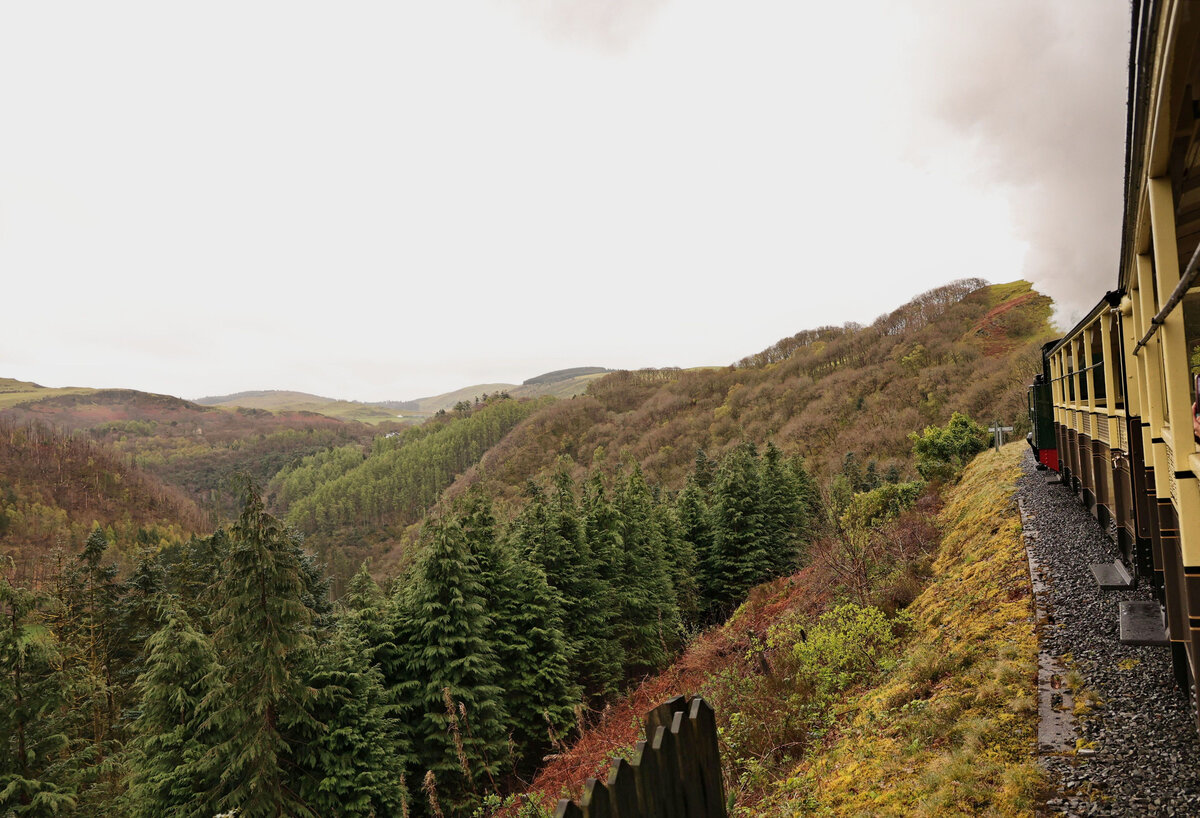 Fast geschafft. Die Vale of Rheidol Schmalspurbahn (603 mm) mit der Lok 7 ist fast an der Endstation Devil's Bridge angelangt, 18, 9 km von Aberystwyth entfernt. 17.April 2026  