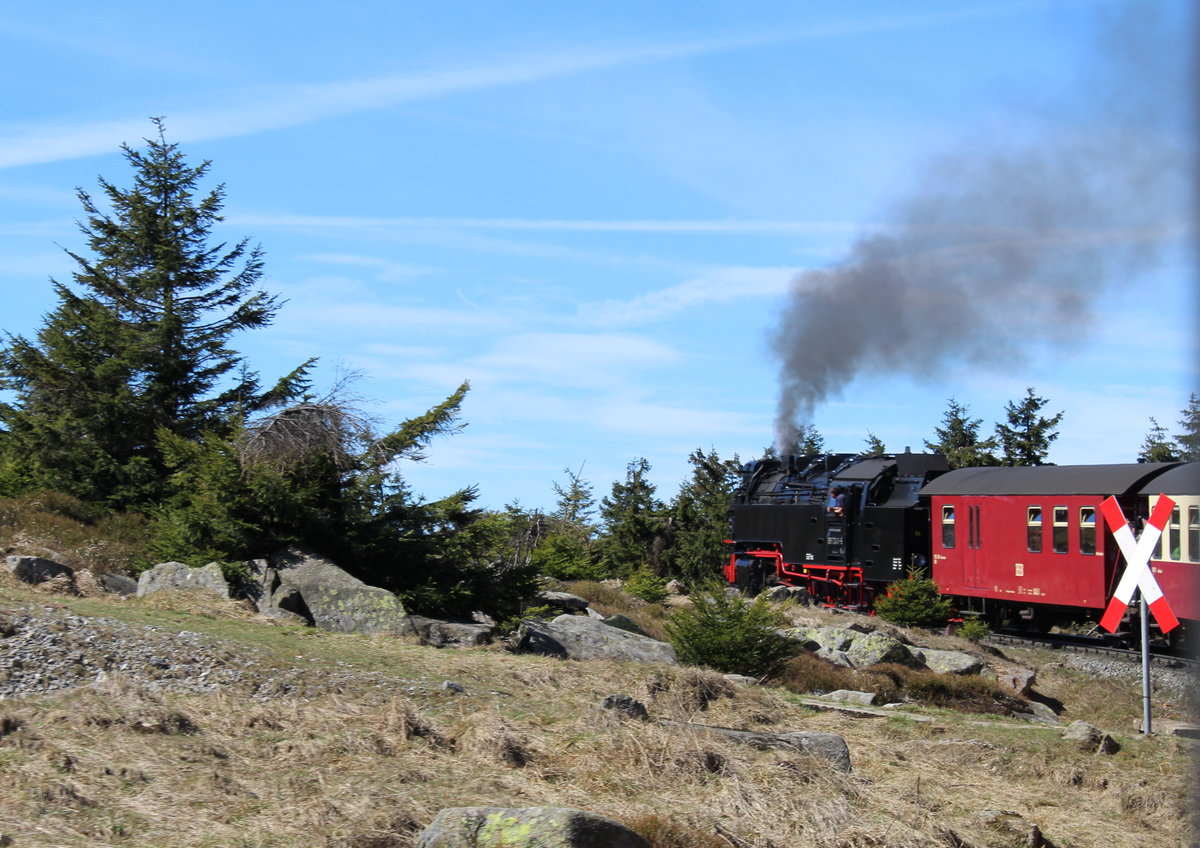 Fast geschafft! Kurz vor dem Bahnhof Brocken fuhr 99 7241-5, mit dem HSB8933 noch einmal in eine Linkskurve. Aufgenommen am 25.04.19.