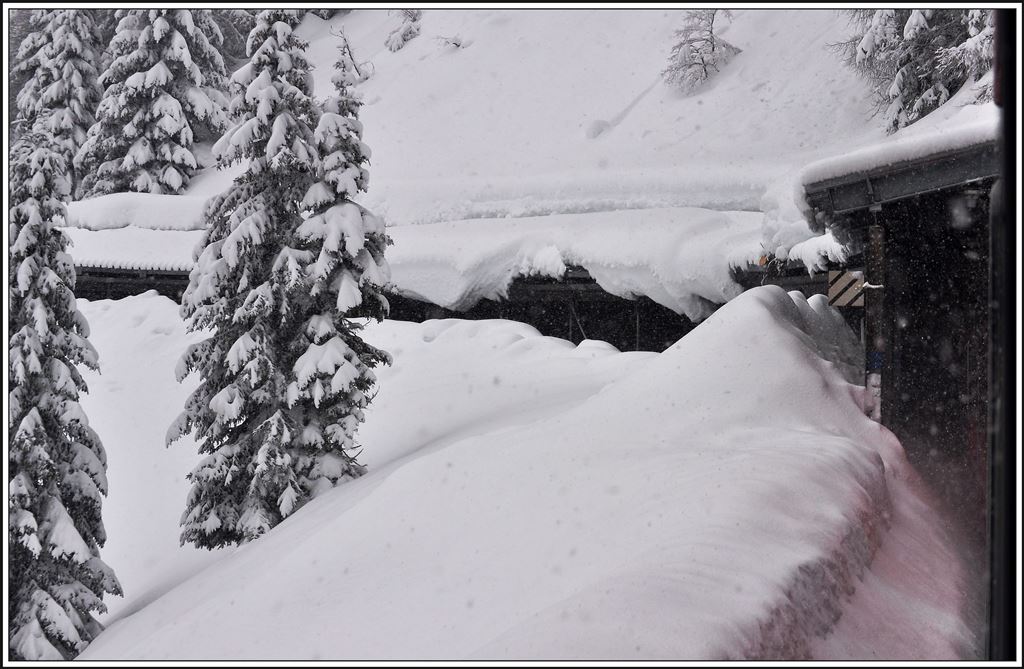 Fast vollständig zugeschneite Galleria di Val Pila oberhalb von Cavaglia. (05.02.2014)