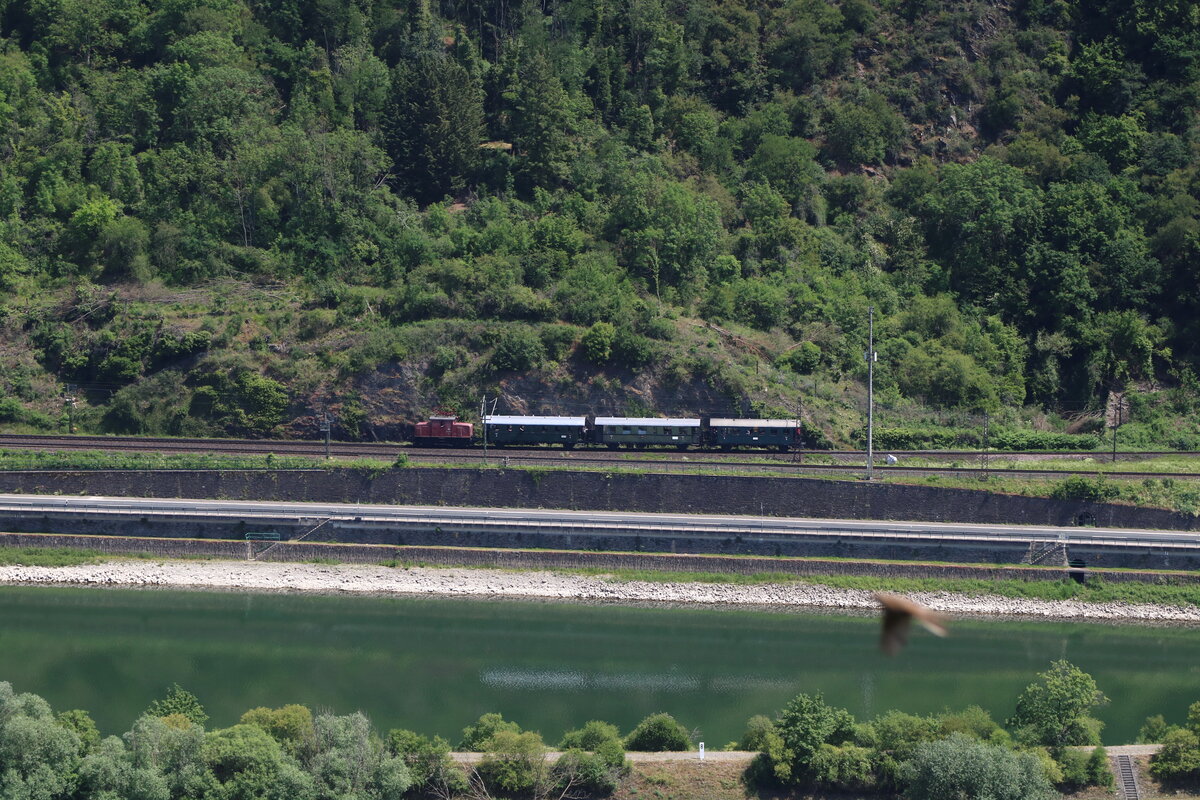 Fast wie auf der Modelbahn...E69 005 des Bayerischen Localbahn Vereins auf dem Weg nach Koblenz kurz hinter dem Tunnel Loreley am 29.5.26