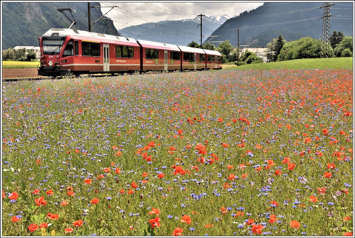 Fast wie ein Gemälde. S1 1519 mit ABe 4/16 3104 bei Bonaduz. (05.06.2018)