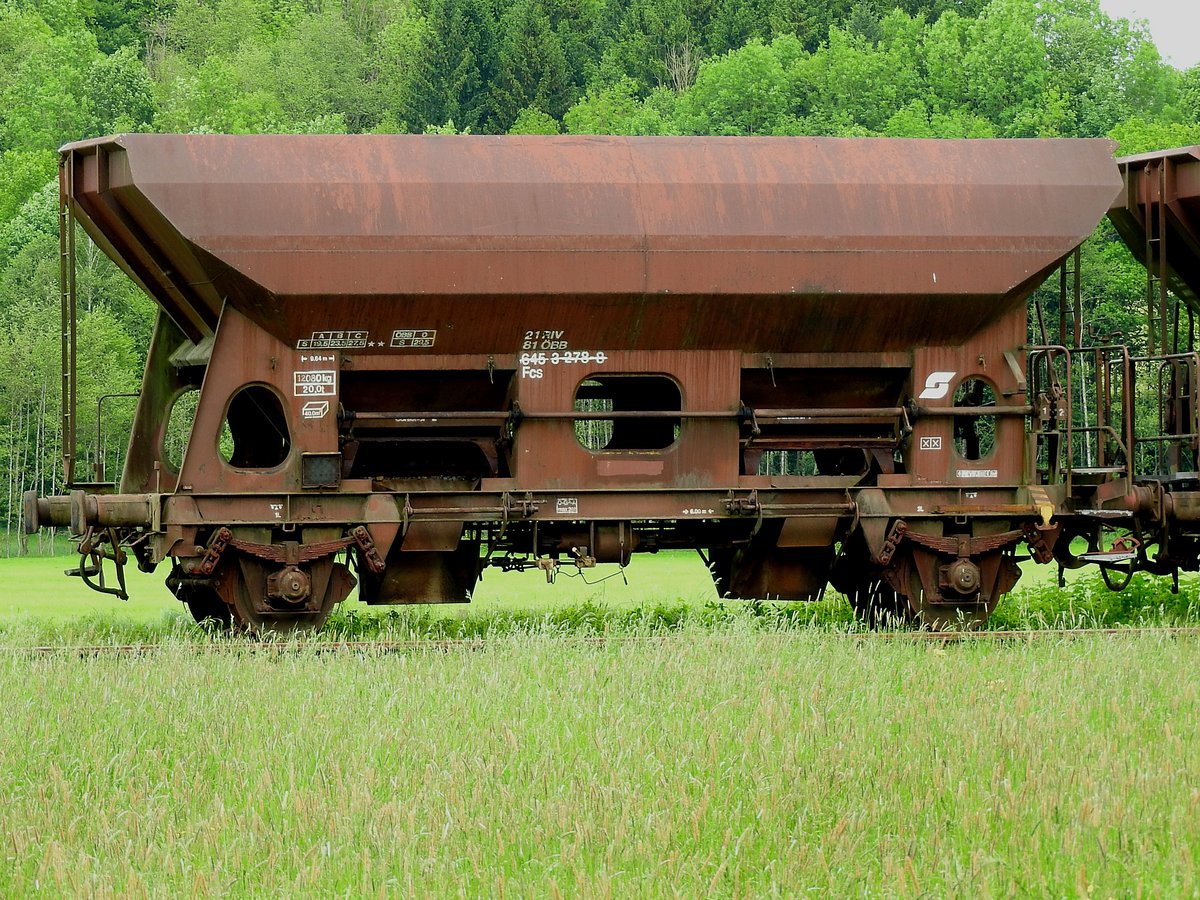Fcs 21 81 6453 278-8, wartet in der Botanik auf seine Aufarbeitung; 170524