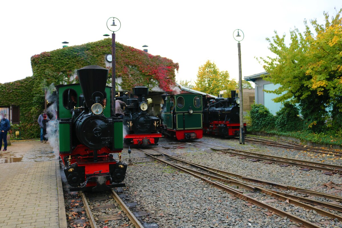 Feldbahnmuseum Frankfurt am Main Dampflok O&K Bn2T am 16.10.22 beim Herbstfahrtag