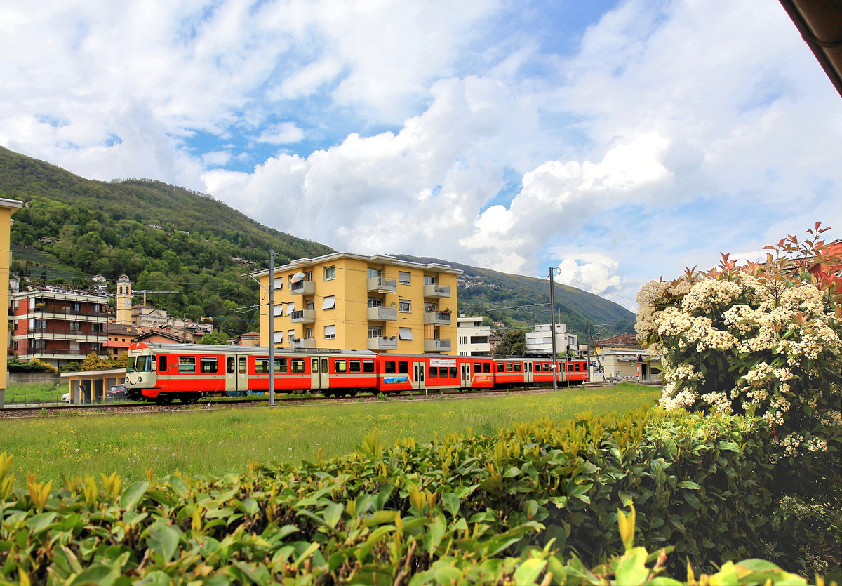Ferrovia Lugano-Ponte Tresa: Zug 23 in blühender Landschaft bei Agno. 4.Mai 2019 