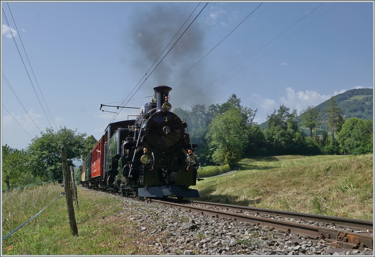  Festival Suisse de la Vapeur 2022 / Schweizer Dampffestival 2022  der Blonay-Chamby Bahn:
Nun ist die vor kurzem aus Meiningen zurückgekehrte BFD HG 3/4 N° 3 der Blonay-Chamby Bahn wieder in Betrieb. Die HGe 3/4 N° 3 ist mit ihrem Zug von Blonay Richtung Chamby bei Chaulin unterwegs. 

4. Juni 2022