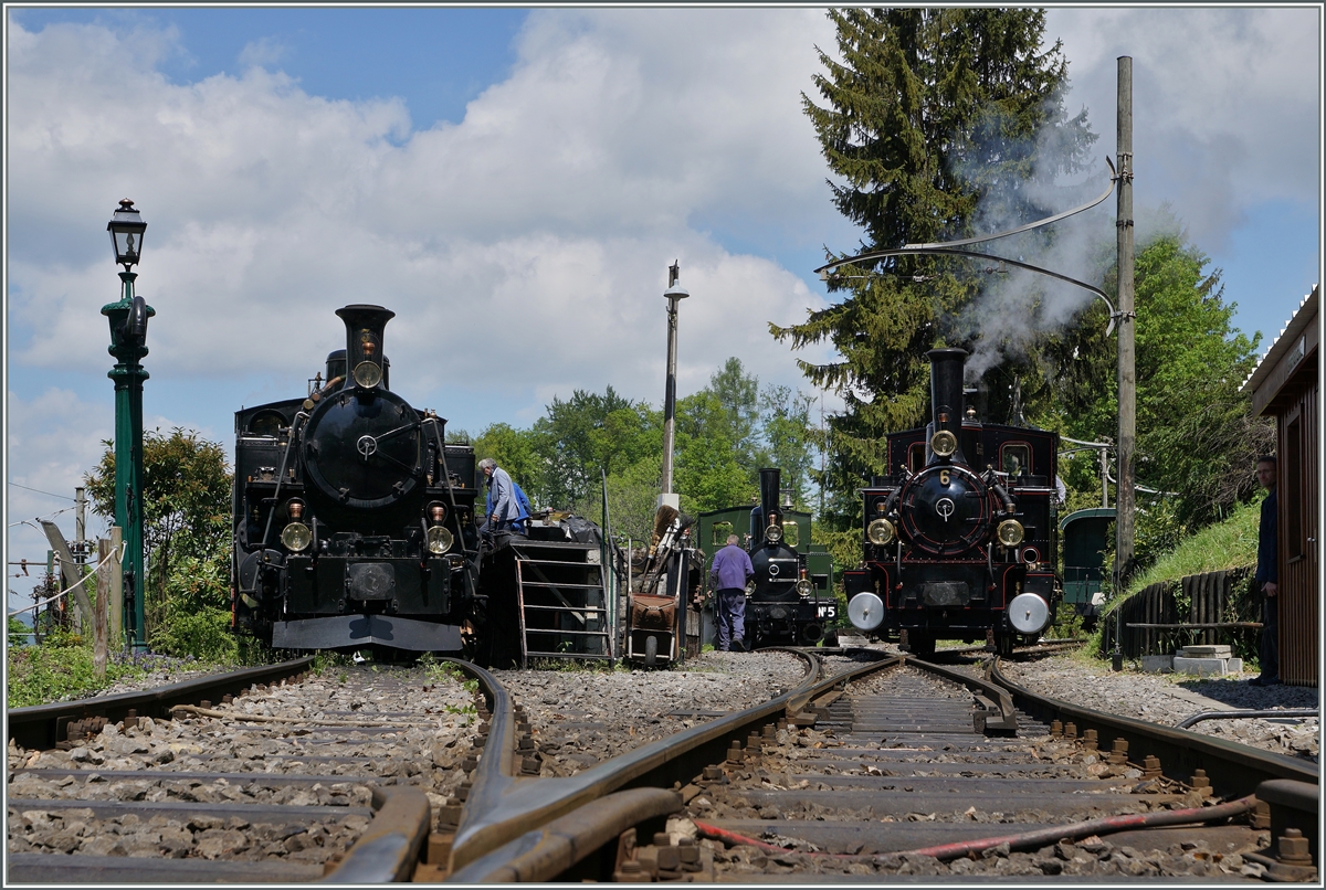 Festival Suisse de la vapeur 2016: Bei soviel Dampffahrten gibt es auch eine Menge  hungriger  Loks zu behandeln. Links die HG 3/4 N° 3, in der mitte die LEB G 3/3 N°5 und ganz rechts die BAM G 3/3 N°6.
15. Mai 2016