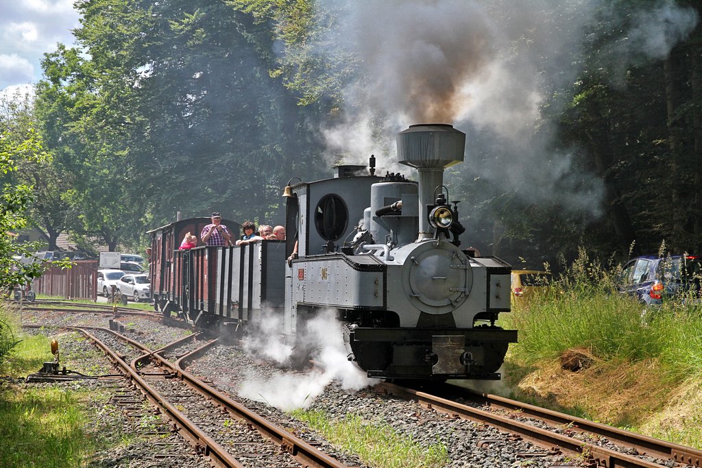 FGF-Fahrtag - 16.06.2013  --  Brigadelok  945 , FGF-Nr. 5  --  Komplette Bilderserie siehe http://www.fgf-fotoalbum.de/thumbnails.php?album=172