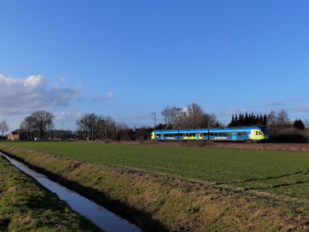 FLIRT der WestfalenBahn auf dem Weg von Bad Bentheim nach Bielefeld zwischen Salzbergen und Rheine (Deves), 10.03.15