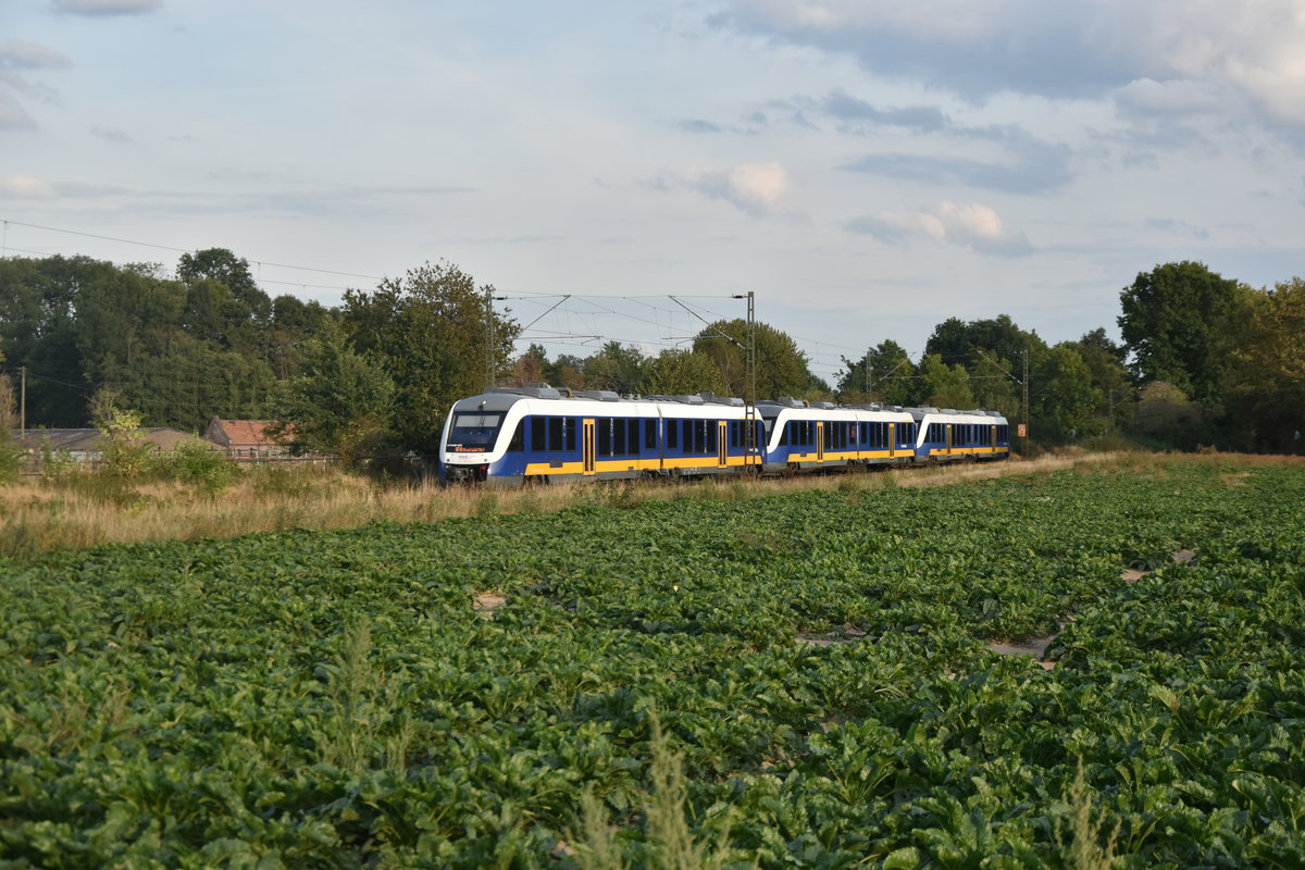 Flotter Dreier! Eine RE10 nach Düsseldorf ist mir in Kaarst Broicherseite diese Dreifachtraktion der NWB untergekommen, am Abend des 9.9.2019.
