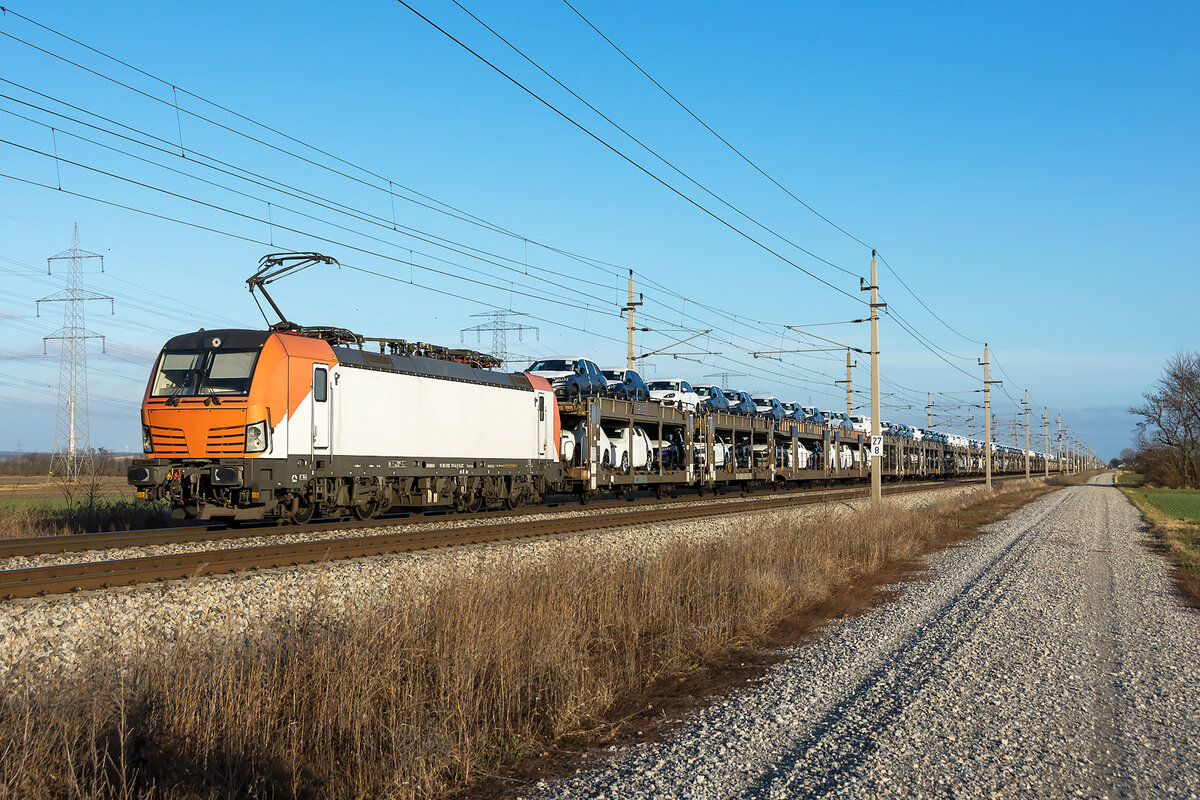 193 250 mit DGS 48963 am 10.12.2021 bei Langenisarhofen Bahnbilder.de