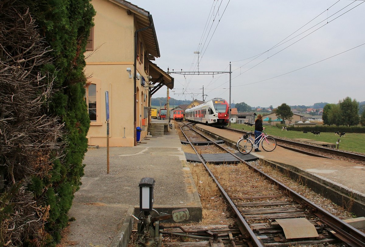 Freiburger Bahnen - Idylle einer kleinen Landstation, mit Triebzug TPF 195. Cressier (Kanton Fribourg), 8. Oktober 2018