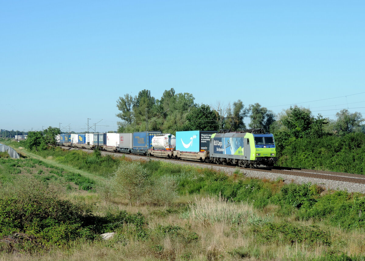 Friesenheim - 2 . Juli 2022 : BLS 485 007 mit einem KLV 

Link zum Video : https://www.youtube.com/watch?v=oqmGtvhr-Co&t=3s