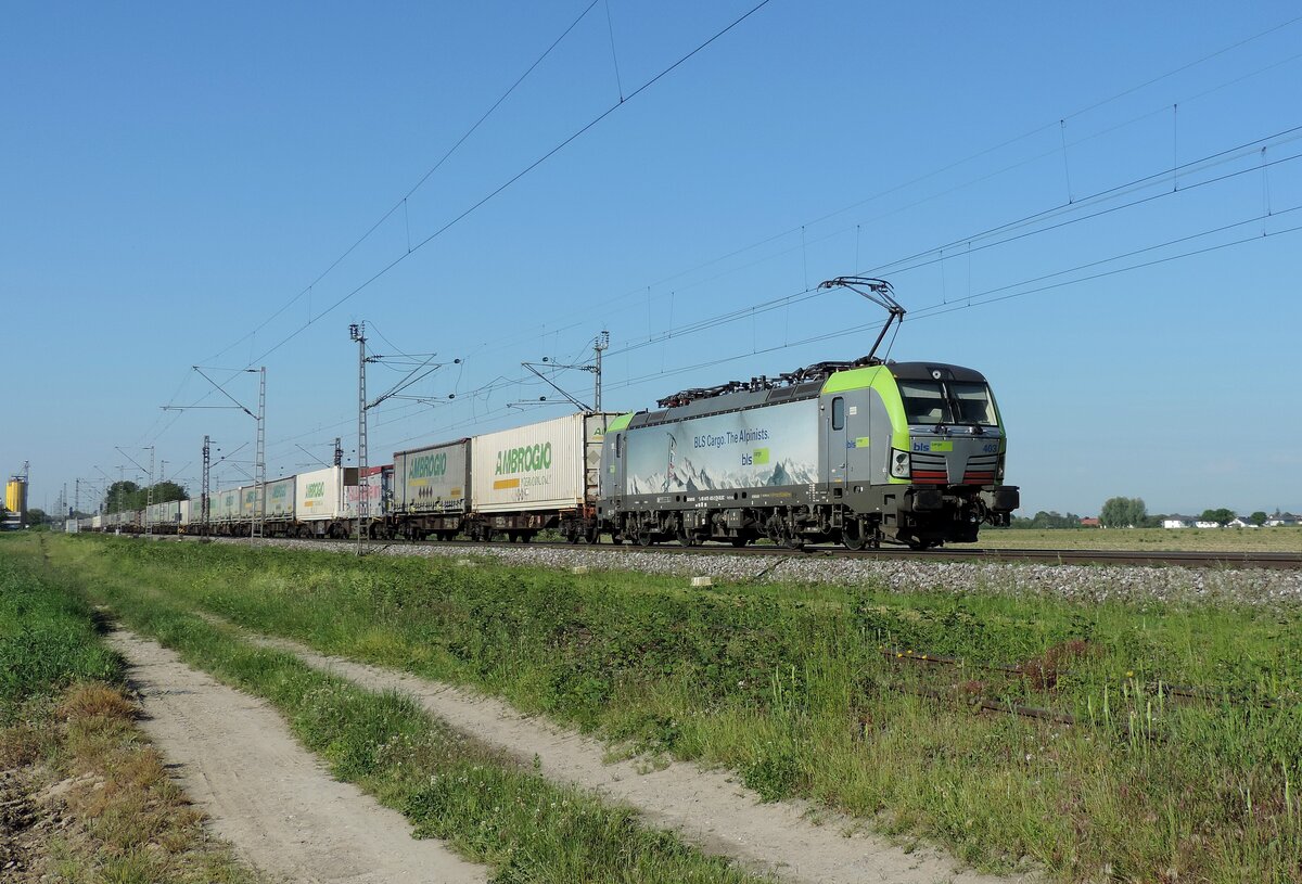 Friesenheim - 2. Juni 2021 : BLS Lok 475 403 mit einem KLV in Richtung Norden.
