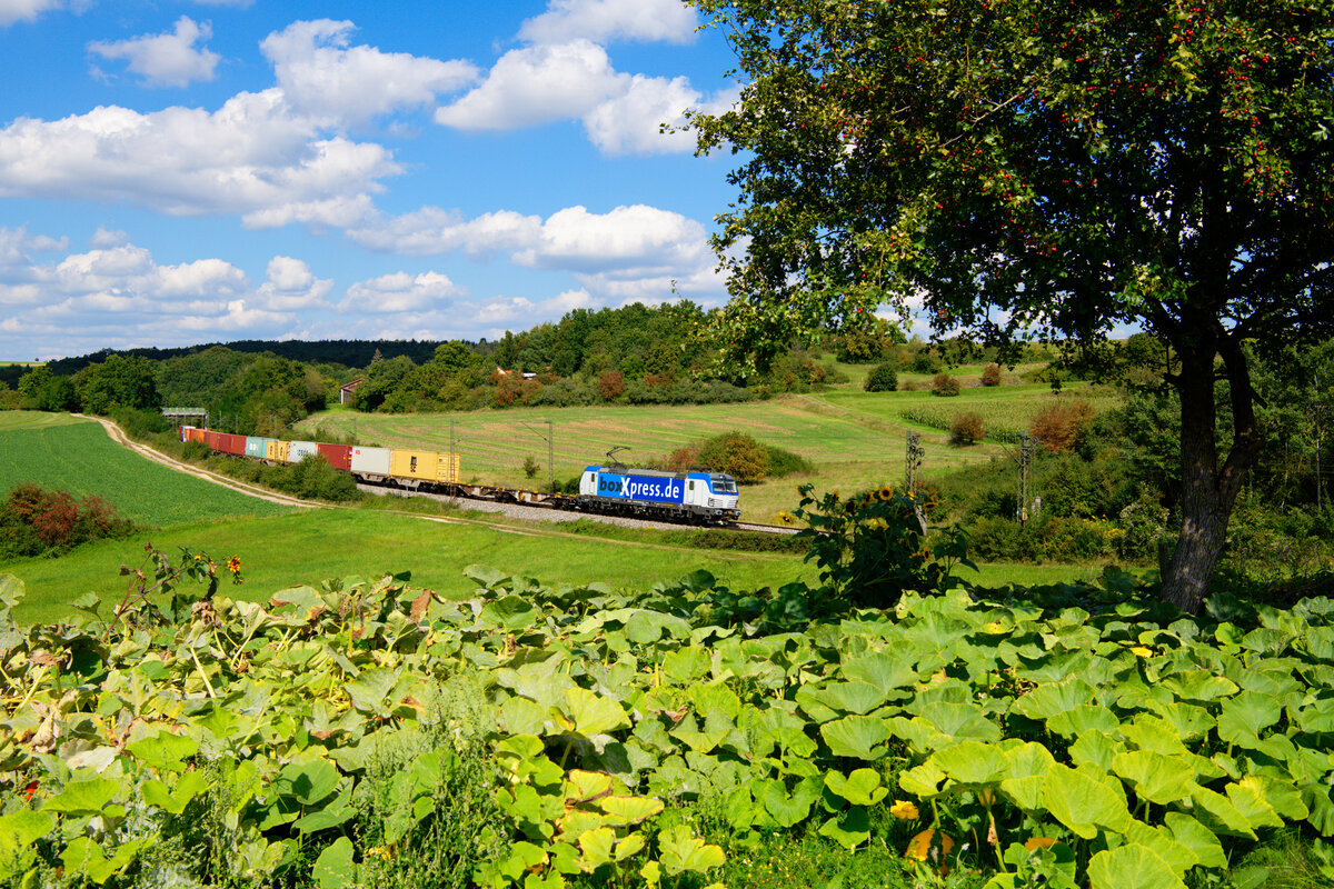 Frisch gewaschen präsentierte sich 193 883 Boxxpress mit einem Containerzug bei Laaber Richtung Regensburg, 07.09.2020