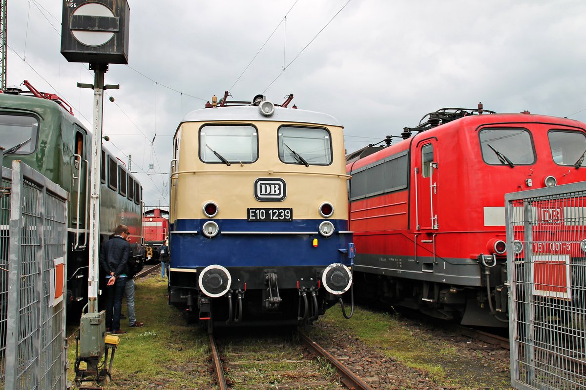 Frontansicht von E10 1239, welche am 18.06.2016 auf dem Außengelände des DB Museum in Koblenz Lützel zwischen 141 228-7 und 151 001-5 stand.