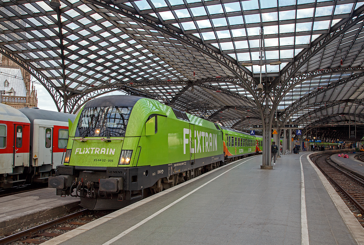 
Früh morgens im Hbf Köln....
Die MRCE Dispolok ES 64 U2-005 bzw. 182 505-8 steht am 22.05.2018 im Hbf Köln mit dem (FLX 1800) FlixTrain nach Hamburg-Altona zur Abfahrt bereit.

Die Siemens ES 64 U2 wurde 2002 von Siemens in München unter der Fabriknummer 20561 gebaut. Seit 2008 trägt sie die NVR-Nr. 91 80 6182 505-8 D-DISPO. Ab März 2018 ist sie von der BTE BahnTouristikExpress GmbH in Nürnberg für den FlixTrain angemietet, denn die BTE stellt das Rollmaterial (wie hier die Wagen) für den FlixTrain, wie zuvor auch schon für den HKX (Hamburg-Köln-Express).