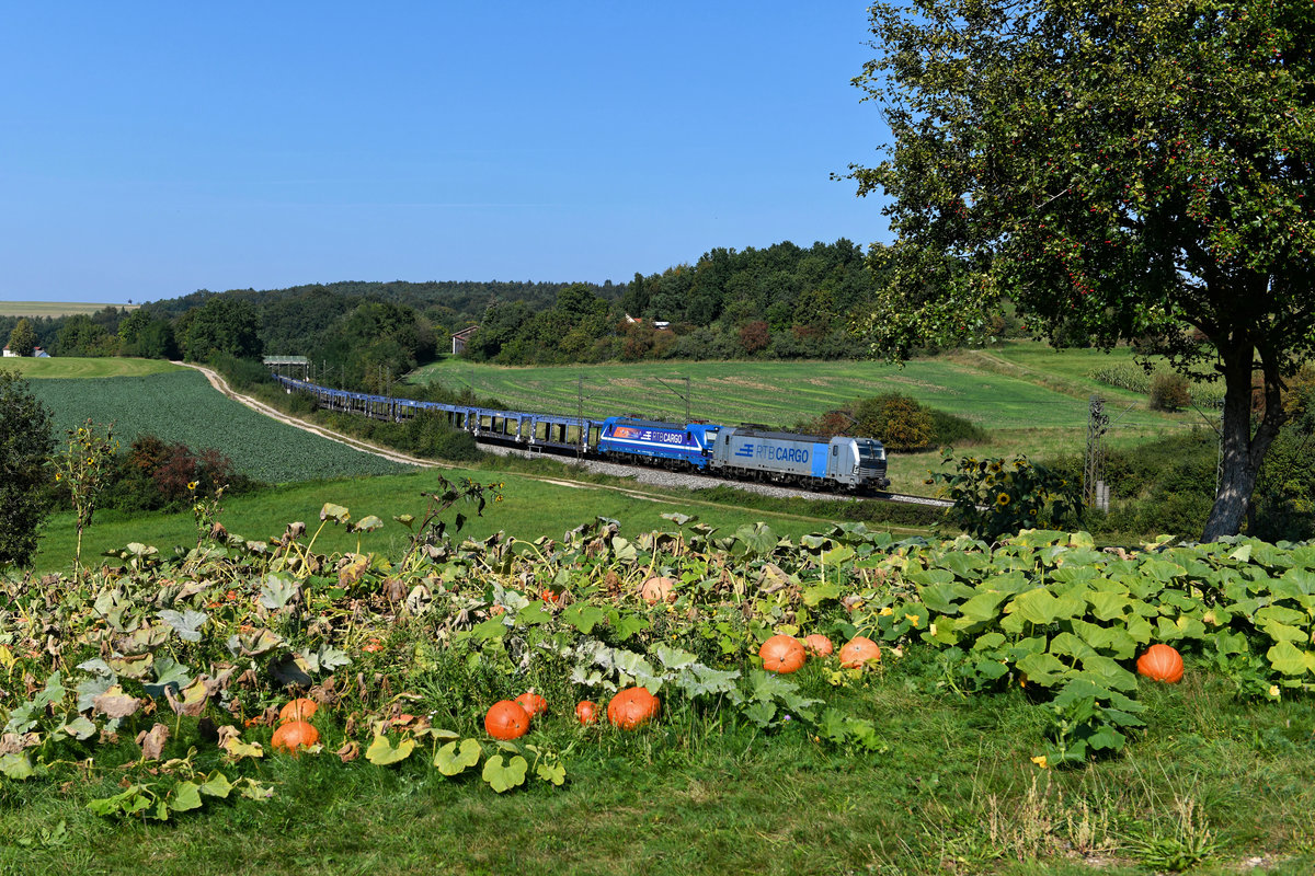 Frühherbst in der Oberpfalz: Bei Edlhausen befindet sich ein Kürbisfeld, welches dieses Jahr eine besonders ergiebige Ernte abwarf. Auch die Eberesche daneben trägt viele Früchte. Und die Sonnenblumen sind noch lange nicht verblüht. Die Sommerferien sind vorbei und mit ihnen die Produktionspause in den Automobilwerken. Das war am 15. September 2020 deutlich zu bemerken, denn auf der KBS 880 verkehrten zahlreiche Autotransportzüge. Einen Leerpark beförderten die für die Rurtalbahn im Einsatz stehenden 193 816 und 192 016 am Nachmittag in Richtung Regensburg. 