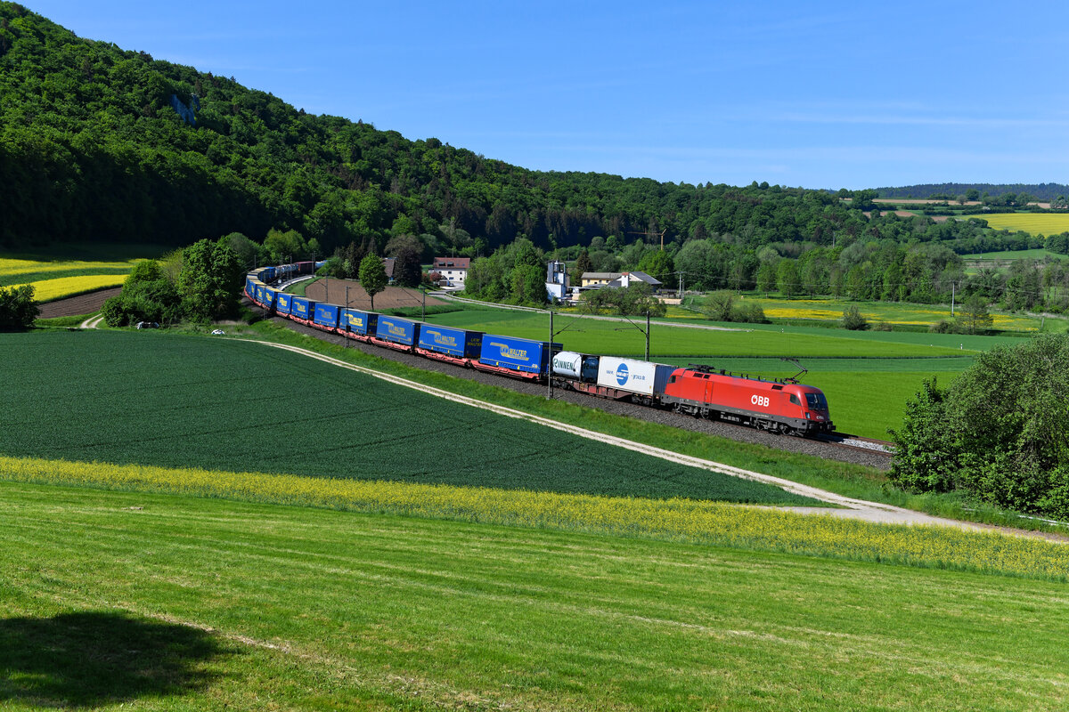 Frühling im Altmühltal. Am 15. Mai 2022 bespannte die ÖBB 1116.190 den KLV-Zug DGS 41823 von Rheinhausen nach Ljubljana Moste. Bei Breitenfurt setzte die komplett beladene Leistung den gewünschten farblichen Akzent in der blühenden Landschaft. 