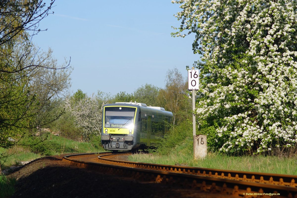 Frühling an der KBS 857 bei Selbitz. Am frühen Vormittag kommt ein 650 aus Naila um die Ecke und passiert den grossen Blühenden Busch. Auch hinten links blüht es am Gleis.
Foto vom 28.04.2018, die Sonne reflektiert sich in der grossen Frontscheibe.....
