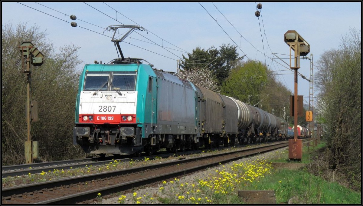 Frühling an der Montzenroute unweit von Aachen.Hier ist gerade die belgische Cobra
(E-186) mit ihren gemischten Güterzug unterwegs hinauf zum Gemmenicher Tunnel.Bildlich erfasst am 19.April 2015.