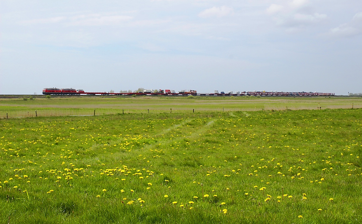 Frühling auf Sylt: Ein 218-Doppel befördert am 04.05.2023 zwischen Keitum und Morsum einen Autozug in Richtung Festland