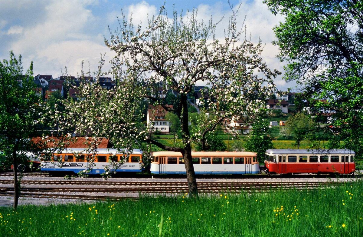 Frühling bei der Strohgäubahn: VB 122 (Auwärter Aufbauwagen), VM 110 (MAN Motorwagen) und VT 01 (Auwärter/Eigenbau) vor dem Depot Weissach, 19.05.1985