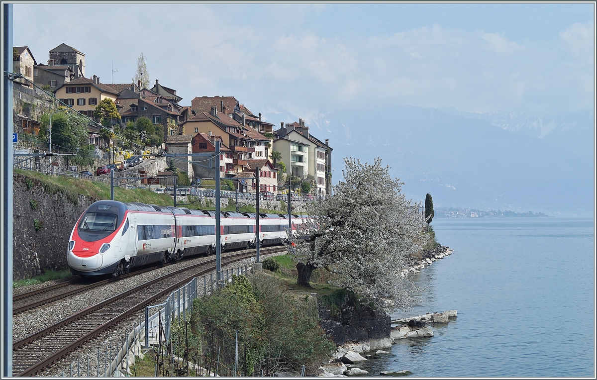 Frühling - es blüht der Baum nun mitten im Bild, als ein SBB ETR 610 bei St-Saphorin in Richtung Italien fährt.   

6. April 2014 