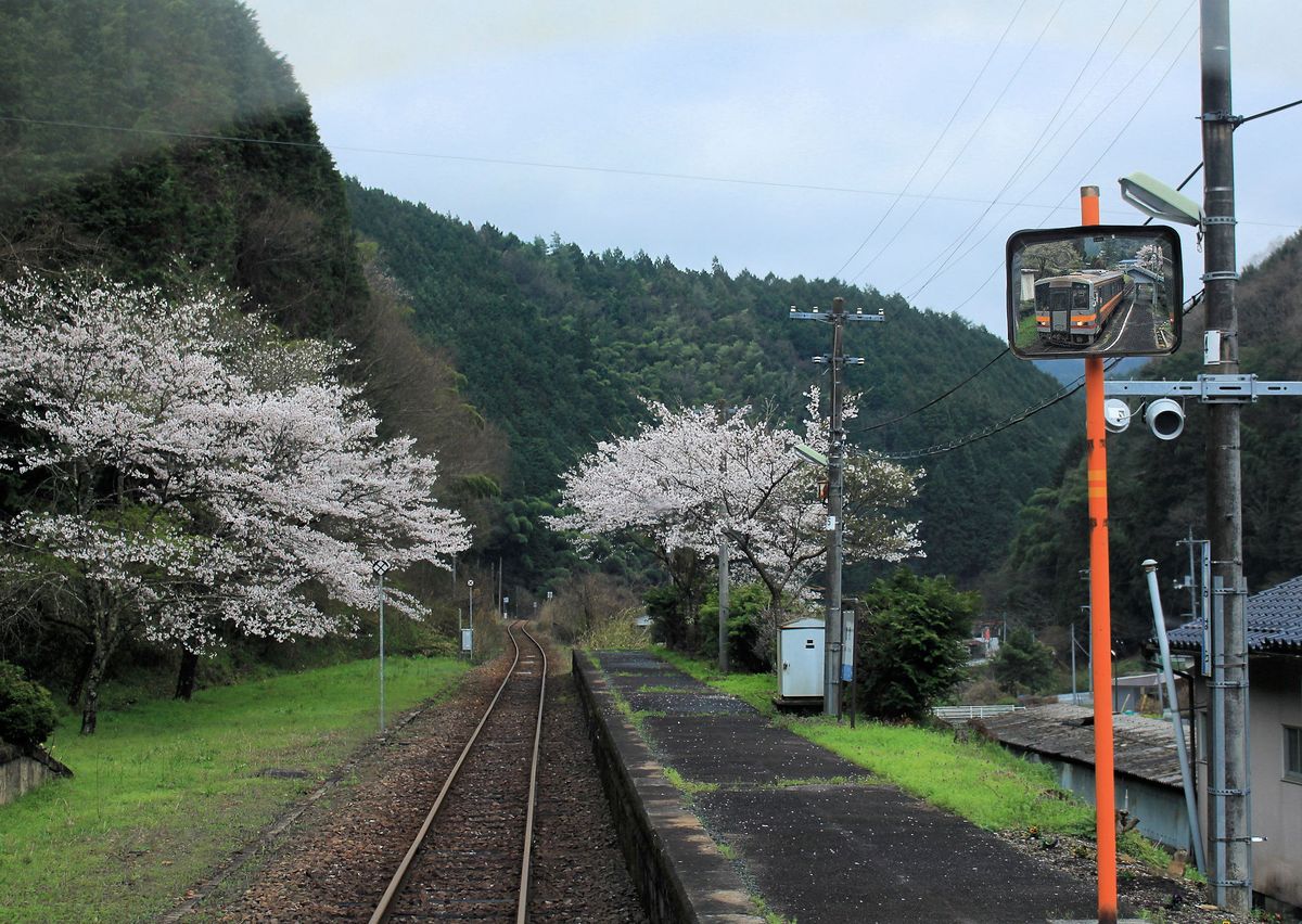 Frühling und Herbst in Japan: Tomihara, 7.April 2015. Triebwagen KIHA 120 338 im Spiegel. 