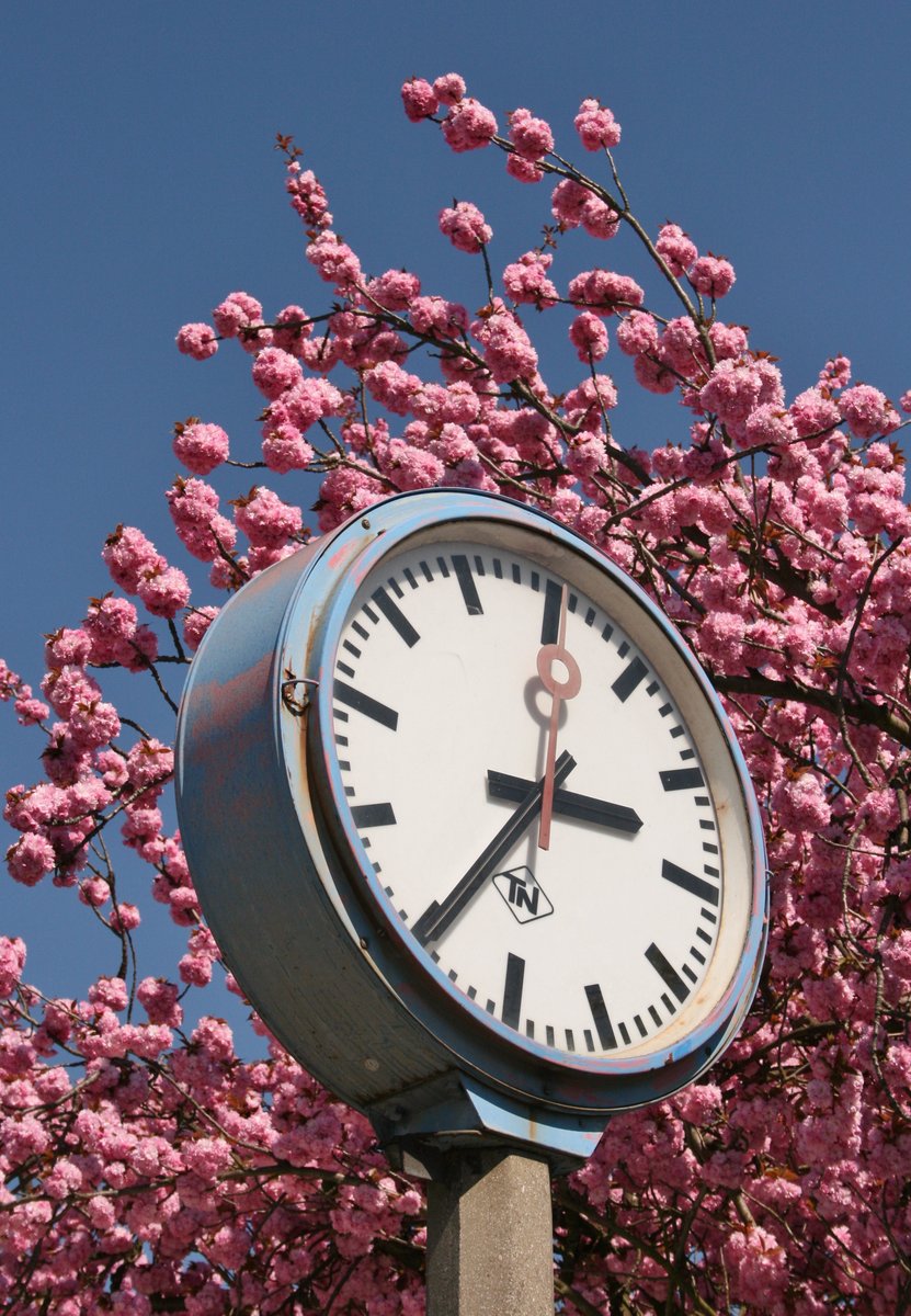 Fr�hling in Orschweier (19.04.2015)