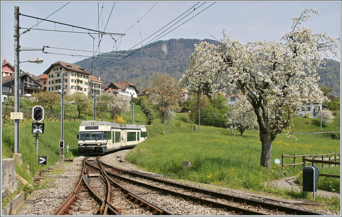 FRÜHLING, Sommer, Herbst und Winter: Es ist Frühling geworden und die Bäume blühen. Von Blonay kommend, erreicht der CEV MVR Be 2/6 7001  VEVEY den Bahnhof von St-Lögier Gare. 

11. April 2011