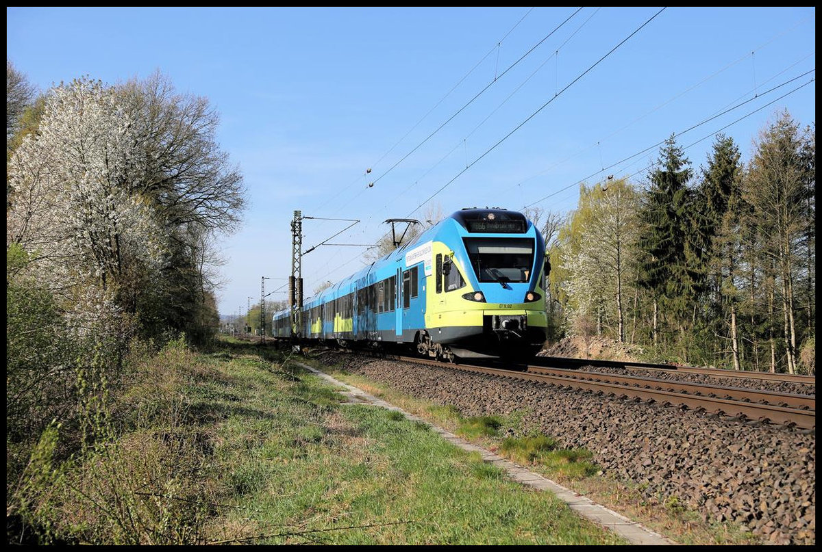 Frühlingsblüte an der Rollbahn! Eurobahn ET 9.02 erreicht hier am 15.4.2020 um 9.33 Uhr den Ortsrand von Hasbergen. Nach dem Halt im Bahnhof Hasbergen erreicht der Zug dann den Endbahnhof der RB 66 in Osnabrück HBF.